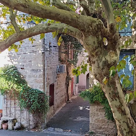 Fontilha Alojamento de Acomodação e Pequeno-almoço Usclas-l'Herault